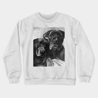 BOONE and LLOYD Crewneck Sweatshirt